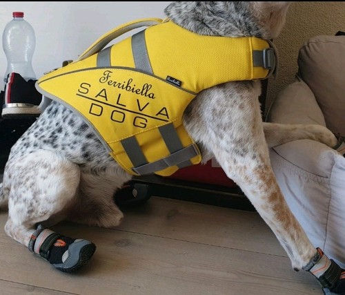 Hunde schwimmweste ferribiella - hunde,