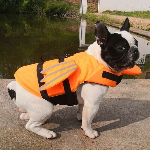 Hund schwimmweste für hunde - für,