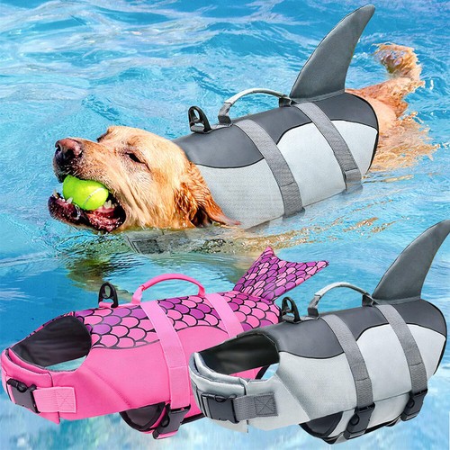 Hund schwimmweste - hund,