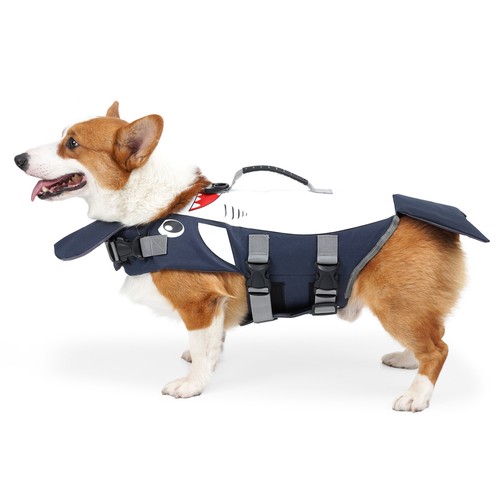 Hunde schwimmweste niedliche - hunde,