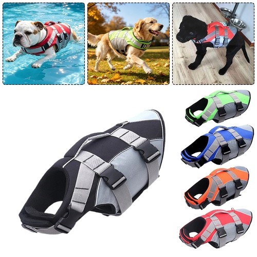 Hund schwimmweste - hund,