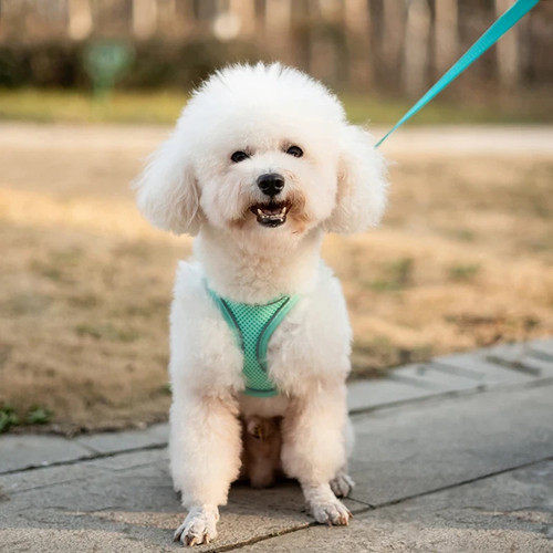 Atmungsaktive hunde weste - atmungsaktive, hunde-weste