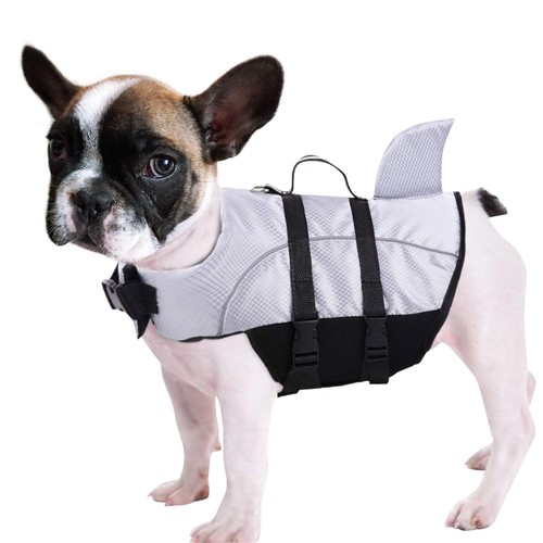 Queenmore hunde schwimmweste - queenmore, hunde-schwimmweste