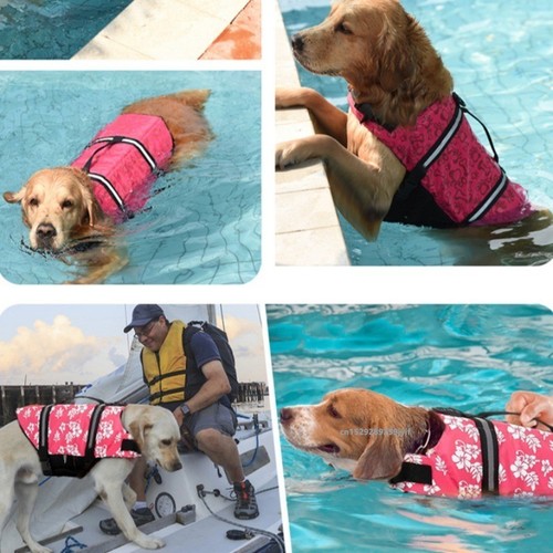 Hunde schwimmweste - hunde,