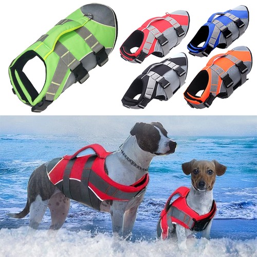Hund schwimmweste - hund,