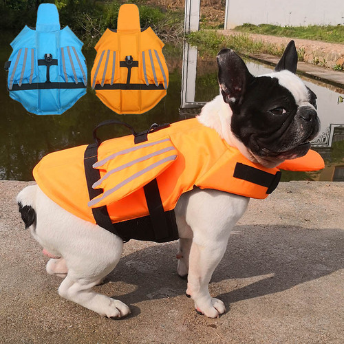 Hund schwimmweste für - hund, hunde