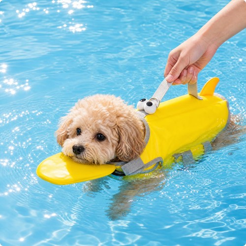 Hundeschwimmweste gepolstert