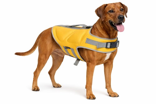 Schwimmweste für hund swimmy - schwimmweste,